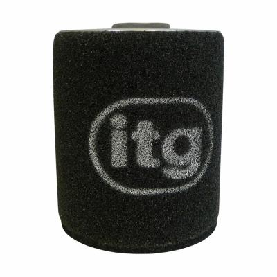 ITG Air Filter for Audi RS6 4.0 Litre V8 Turbo (06/13>)